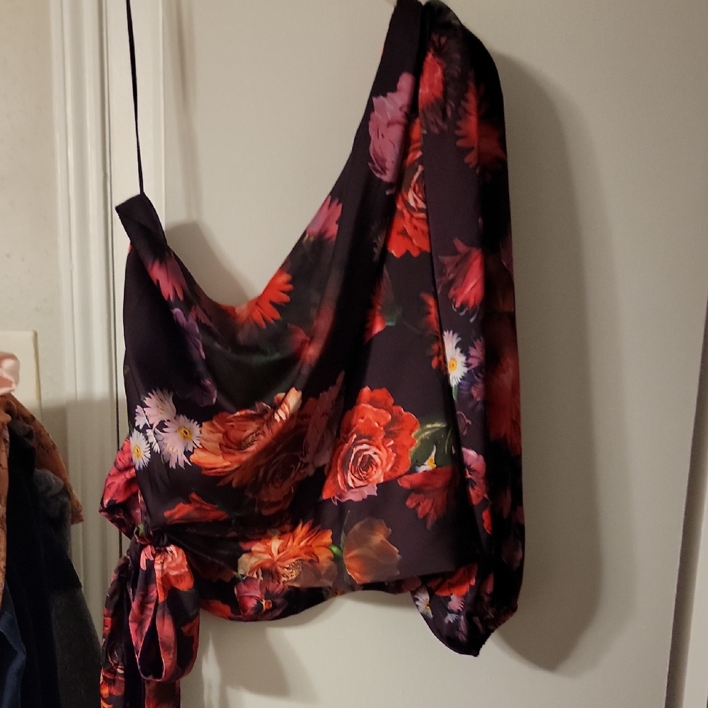 Express Red and Purple Floral Blouse